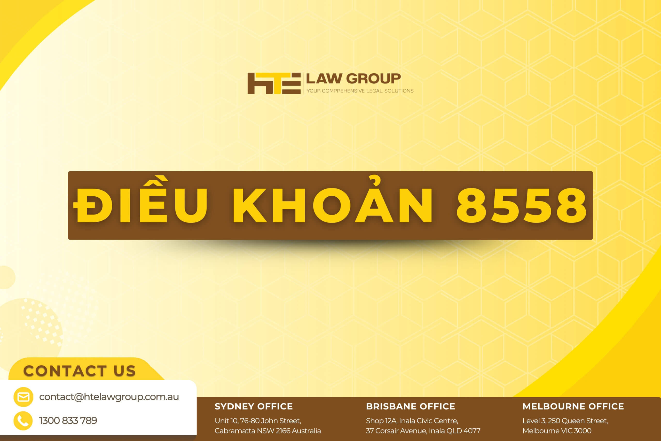DIEU KHOAN 8558